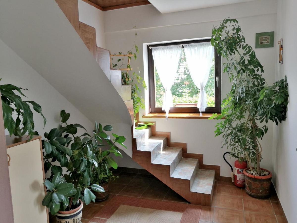 House Marica Villa Poljanak Exterior photo